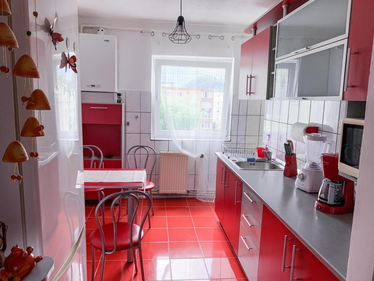 Apartament Zarnesti „Saturn” エクステリア 写真